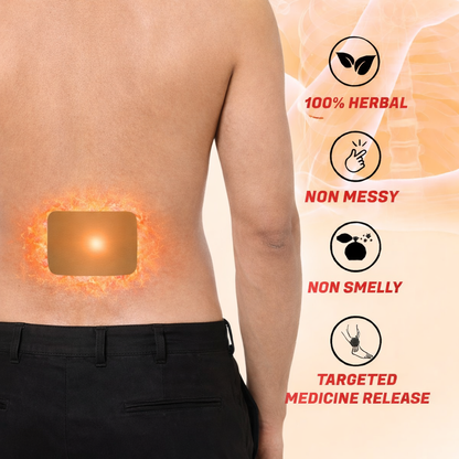 DRMITSUI Pain Relief Patch for Back